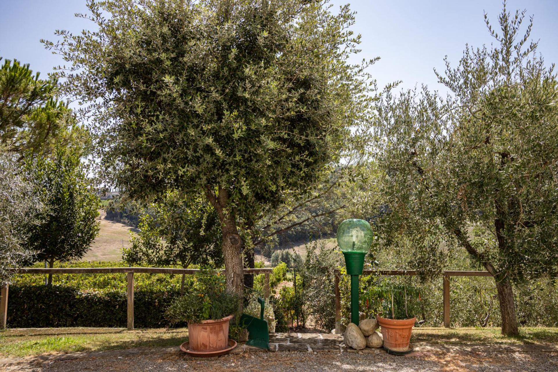 Sole Verde Green House Terricciola Exterior photo