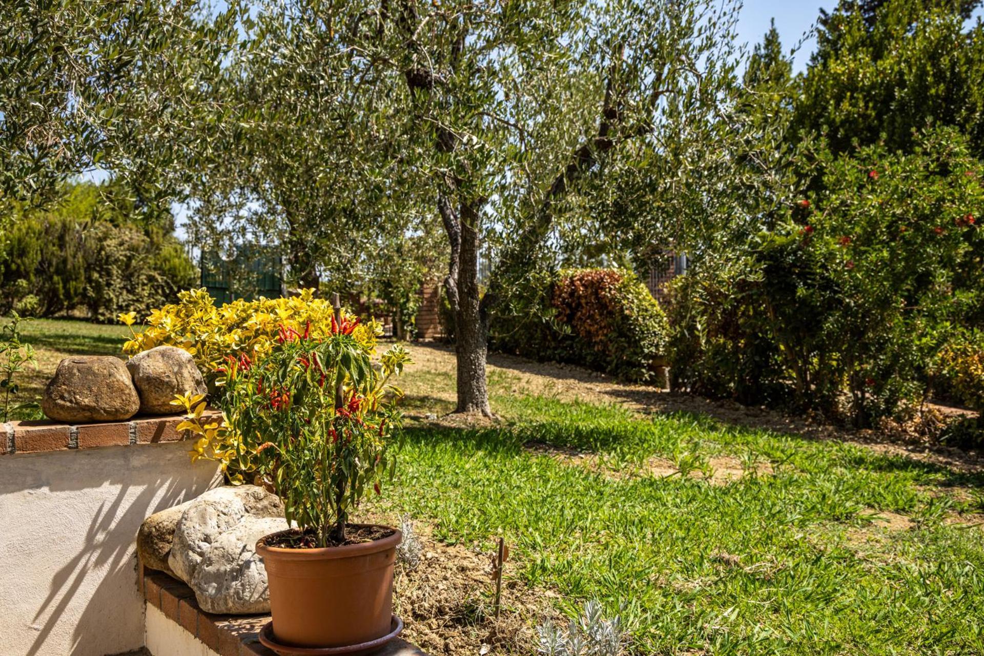Sole Verde Green House Terricciola Exterior photo